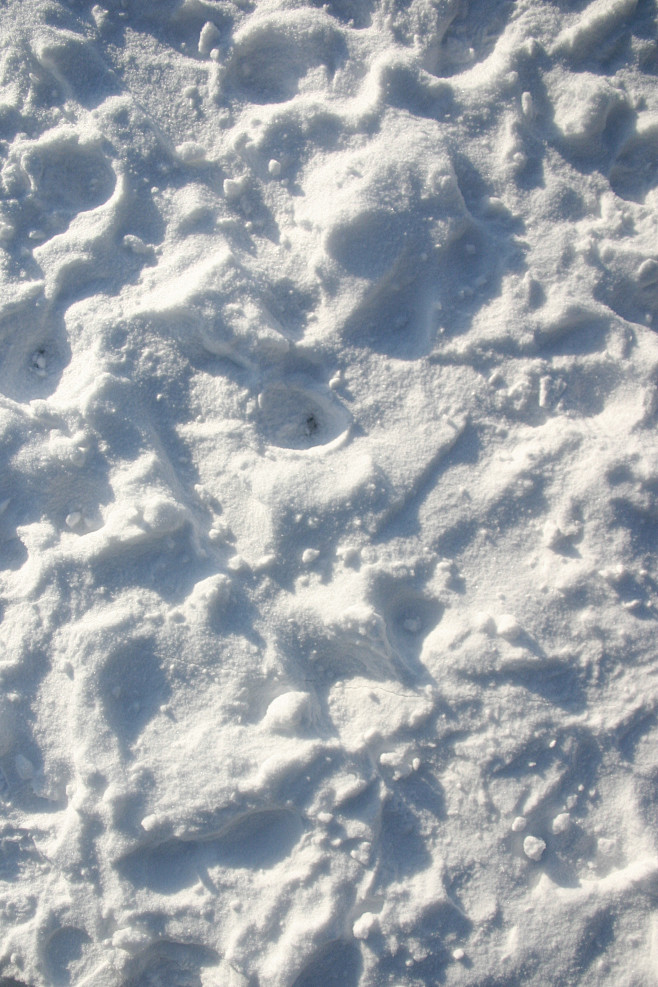 地面-雪地 (4)