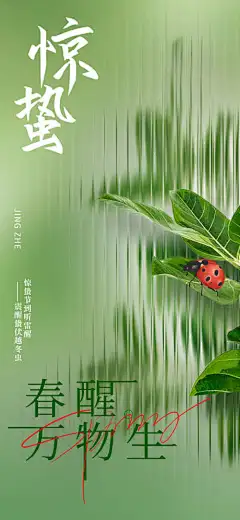 玻璃质感二十四节气惊蛰立春海报-弥散,渐变,简约,传统节气,新生,插画,瓢虫,下雨,春天,惊蛰,二十四节气,玻璃质感,地产,海报