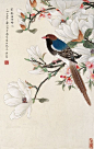 (888) Pinterest