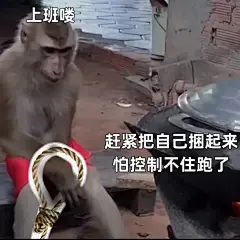 吗喽表情包_这几个连起来甚至还有剧情 - 小红书