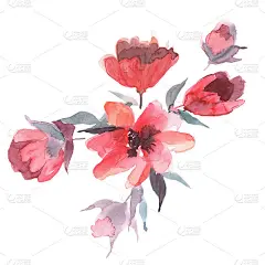 可爱的水彩手画温柔的粉红色花朵。的邀请。婚礼卡片。生日贺卡