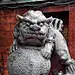 阿诚的白日梦的照片 - 微相册