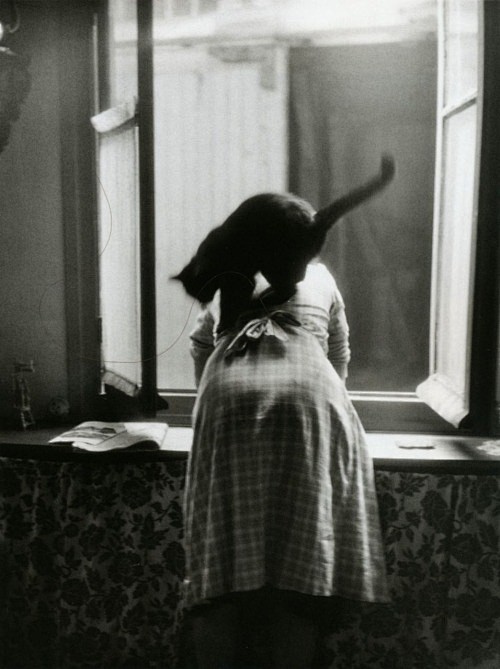 Willy Ronis from Les...