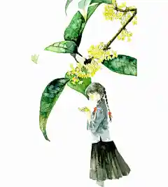手绘桂花树下的女孩动漫人物