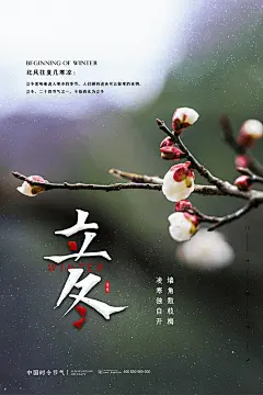免注册|免会员 - 中国风简约创意二十四24节气立冬冬天冬季海报模板PSD设计素材