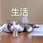 来自分享，沙雕表情包