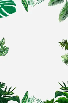 手绘树叶与草边框