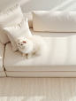 MCA_Real_photo_shoot_bright_and_clean_atmosphere_light_sofa_sce_a