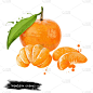 柑桔，柑橘类水果孤立在白色背景。