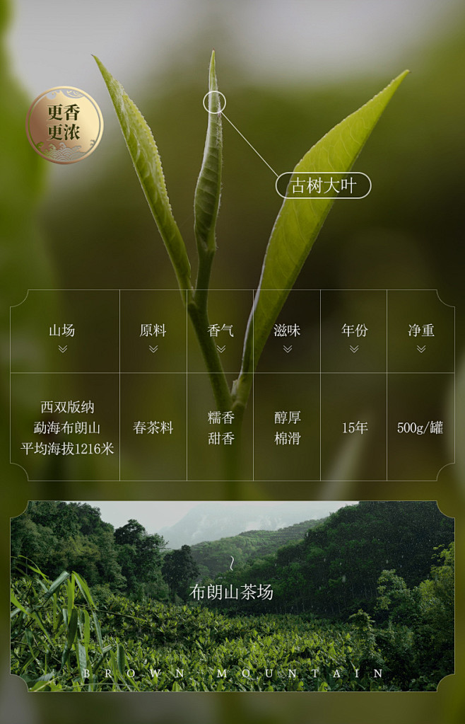 京冠碎银子普洱茶熟茶特级糯米香茶化石云南...