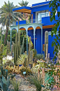 #库库看世界# 【Jardin Majorelle 花园】是摩洛哥著名的花园。是法国画家Jacques Majorelle（1886-1962）花了四十年的时间建造出的。花园中丰富的沙生植物和蓝色建筑相映成趣，想不想去看看呢？要不我们来自己种一个！花园的官网：O网页链接 ​​​​