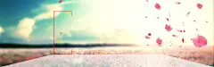简约花瓣背景banner 简约花瓣 紫色花瓣 足浴花瓣 背景 设计图片 免费下载 页面网页 平面电商 创意素材
