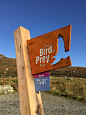 非常高兴看到我们的猎物踪迹标记的鸟看华丽！ @RSPBScotland @outerhebs @ Bright_3D #interpretation：