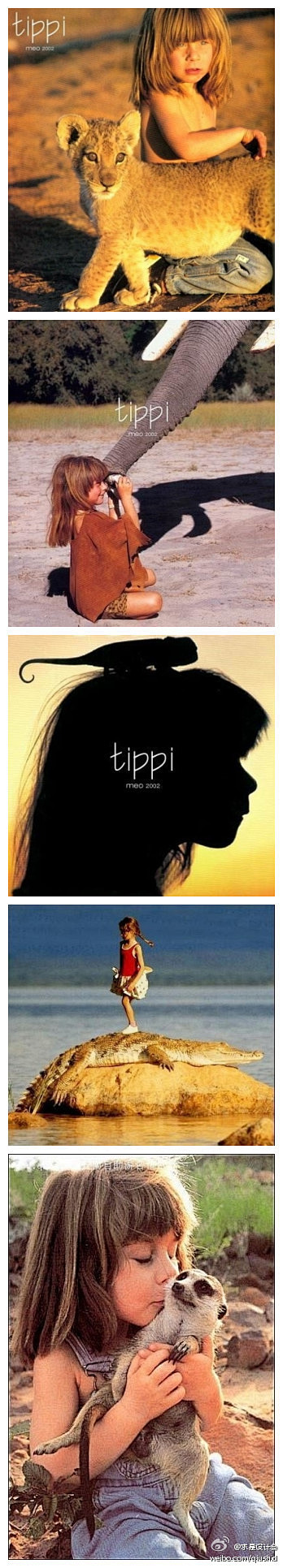 求是设计会：#世界#她叫Tippi，是个...