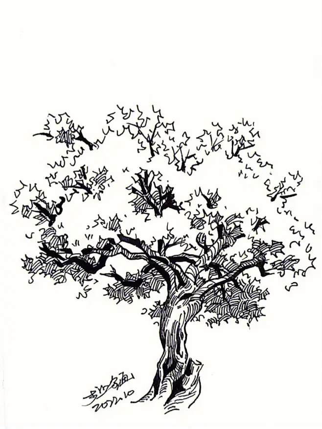 点击查看图片来源-花瓣网