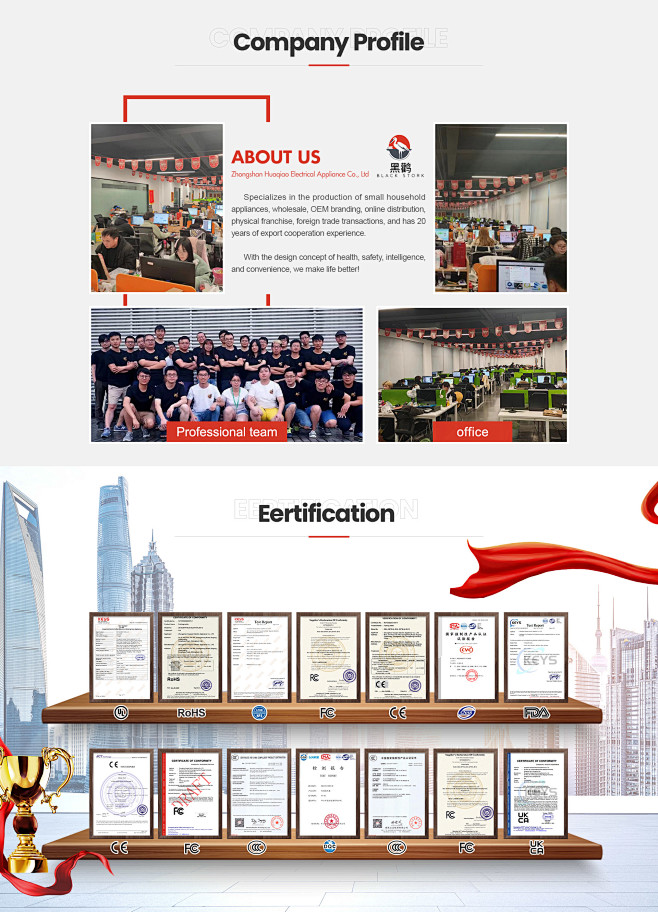 Company Overview - Z...