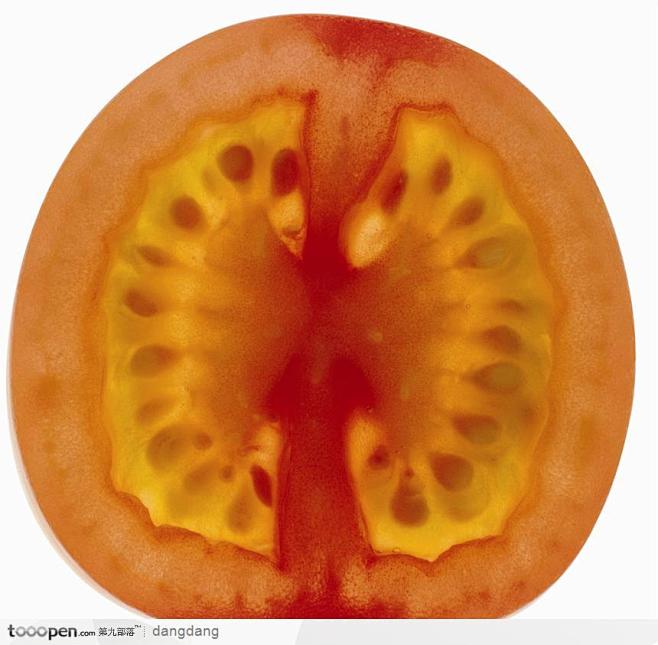 西红柿剖面