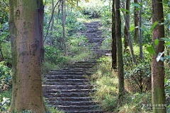Li-S采集到森林公园