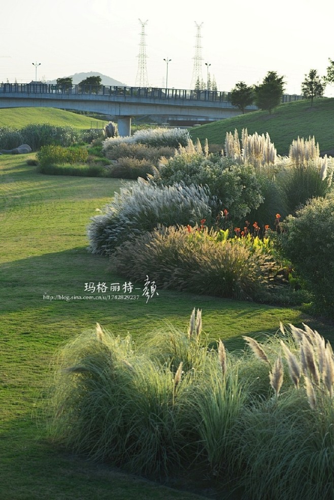 @上海辰山植物园 的旱溪花境一直是我最喜...