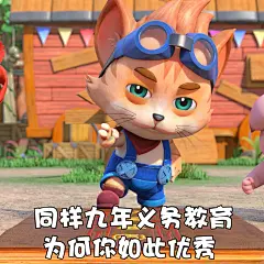 探探猫表情包：迷之自信是怎么养成的！05