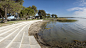 001-Meningie Lakefront Habitat Restoration Project by ASPECT Studios