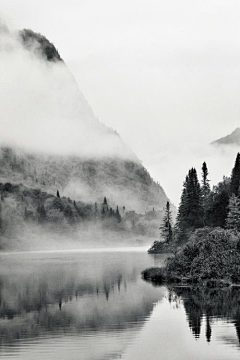 凉拌的星馅儿采集到风景