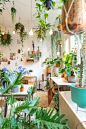 Plants and pots at Wildernis in the Bilderdijkstraat in Amsterdam West! #yourlbb http://www.yourlittleblackbook.me/wildernis-amsterdam/: 