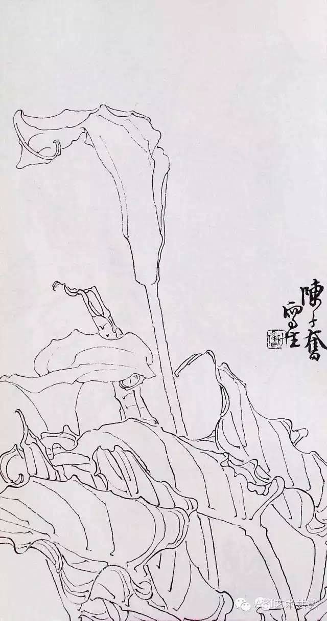 从白描到创作———陈子奋花鸟画合集