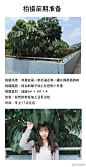 Lightroom资源库的照片 - 微相册