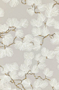 Pine tapetti