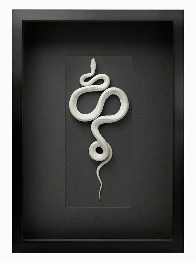 —摄影—蛇之形