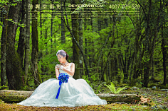 新都桥婚纱照—德翼堂摄影采集到康定婚纱照——绿光森林 ——德翼堂摄影客片分享