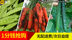 小蛇1采集到美团