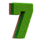number_7_grass_3d_render