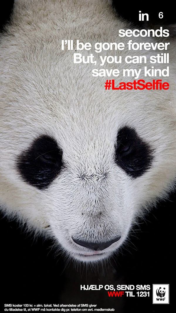 WWF LastSelfie主题宣传公益海报设计-花瓣网