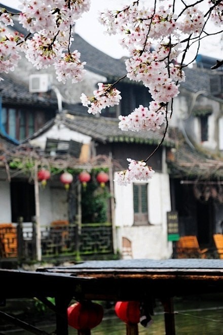 最是江南 唯美的江南水乡美图