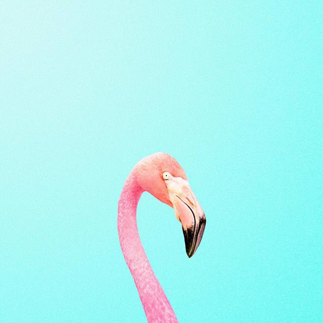 #candyminimal (@cand...