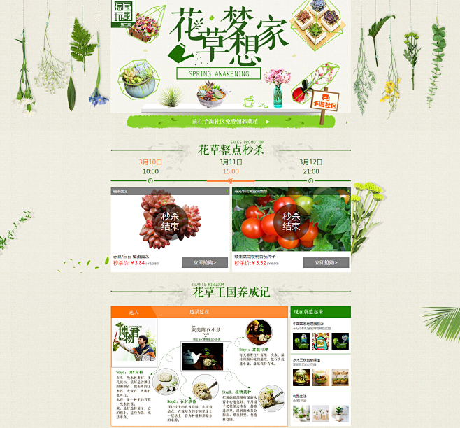 淘宝玩家No.2 花草梦想家