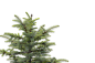 JZ_208