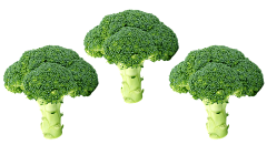 真的太容易了采集到蔬菜，水果