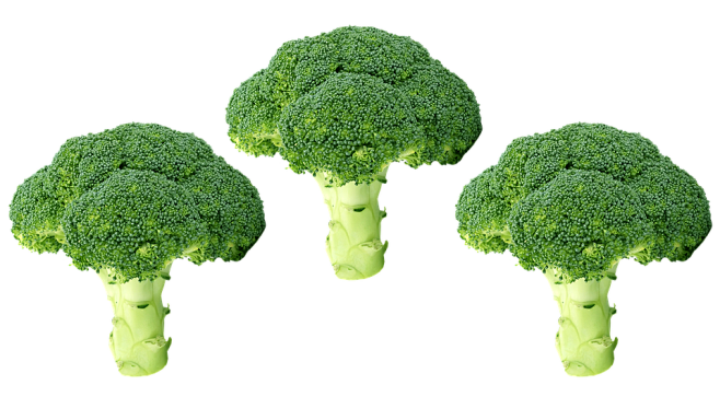 西兰花Png, 蔬菜, 绿色, 有机, ...
