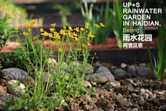 瀛曦采集到海绵城市