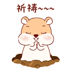 240_240gif 动态图 动图