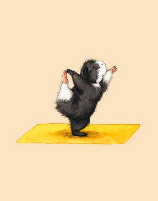 可爱的练瑜伽的小仓鼠