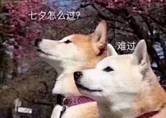 阳yyy采集到表情包
