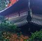 雨中国清寺