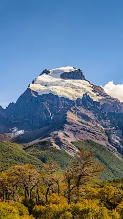 ＠大圣中的战斗菊#唯美#壁纸#手机壁纸#电脑壁纸#风景