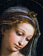 拉斐尔。 详细处女的玫瑰，1516。