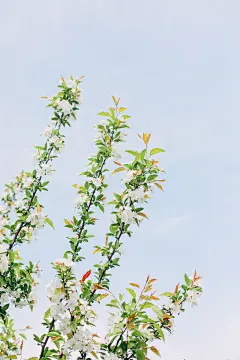 清明已经过去一个月

摄影：洪小漩

作为拖延症晚期患者，我就不责备自己什么了。

五一假期都结束了，清明小长假的图我却没有来得及整理。

拖延症也就算了，还健忘，估计再过几天，我都要把清明节回过家的事抛诸脑后了。

零星记录一些吧。

比如，自疫情起不曾回过家的我们，搭乘朋友的车，从下午六点多出发，一路颠簸，直到凌晨一点才顺利下高速。

下车后直接找了夜宵店饱腹一顿后才陆续回家，休整一番直到凌晨约莫三点才真正入睡。睡前把给妈妈的话放在客厅。

第二日，睡到自然醒的我们下楼，只见母亲一边张罗早饭，一边说：