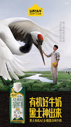 H亦云采集到闪屏